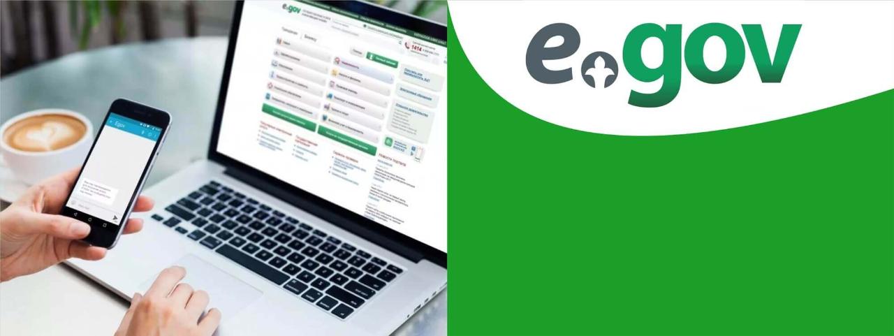 You are currently viewing Енді заңды тұлғалар газ тарату желілеріне қосылуға арналған техникалық шарттарды eGov.kz порталы арқылы ала алады